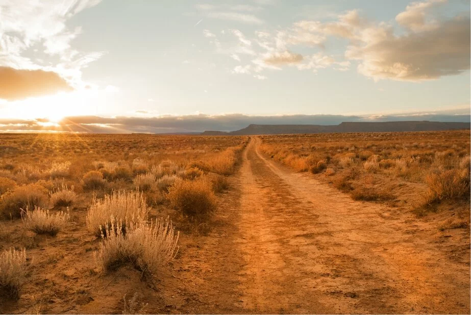 Red desert landscape