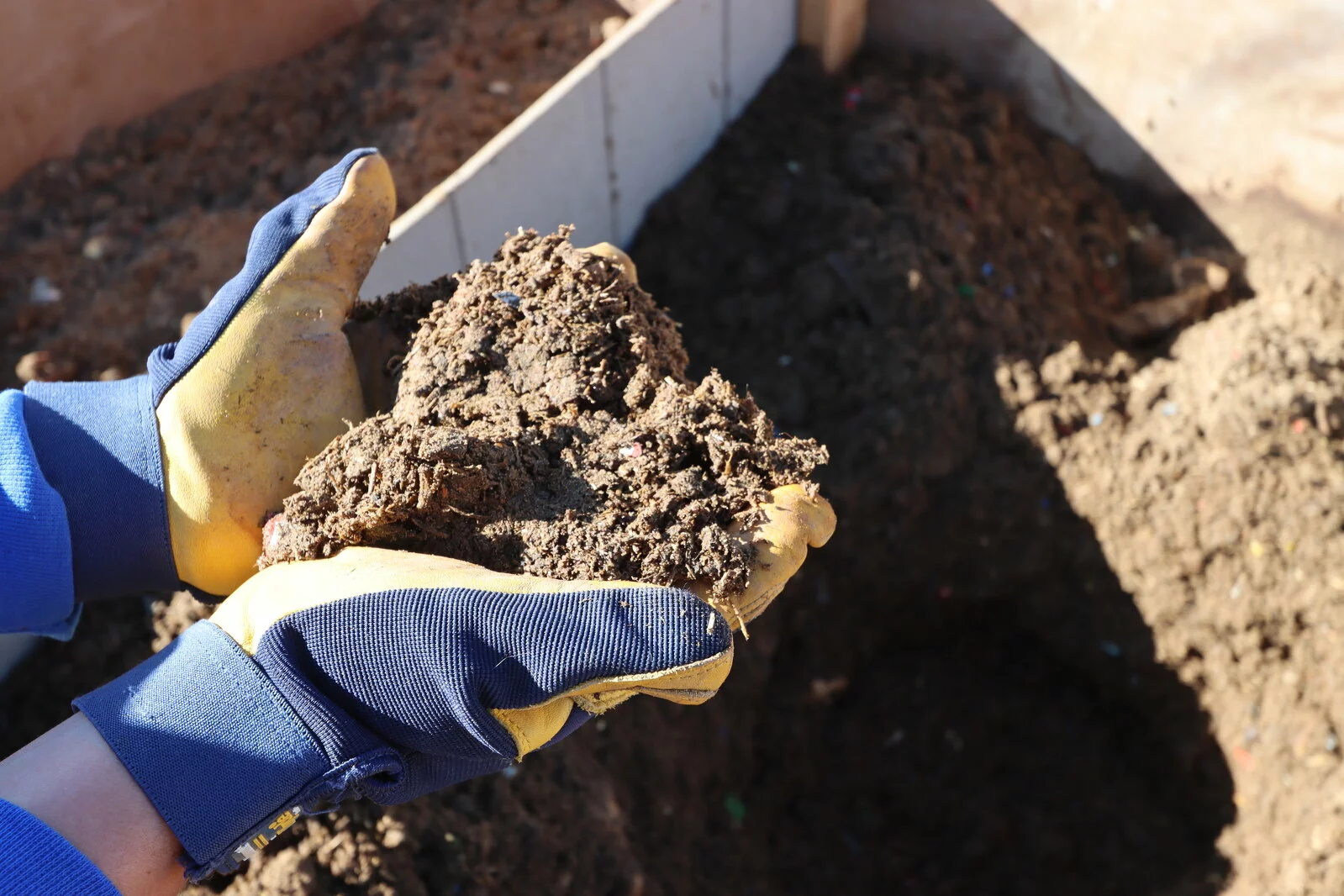 Gloved hands holding some soil